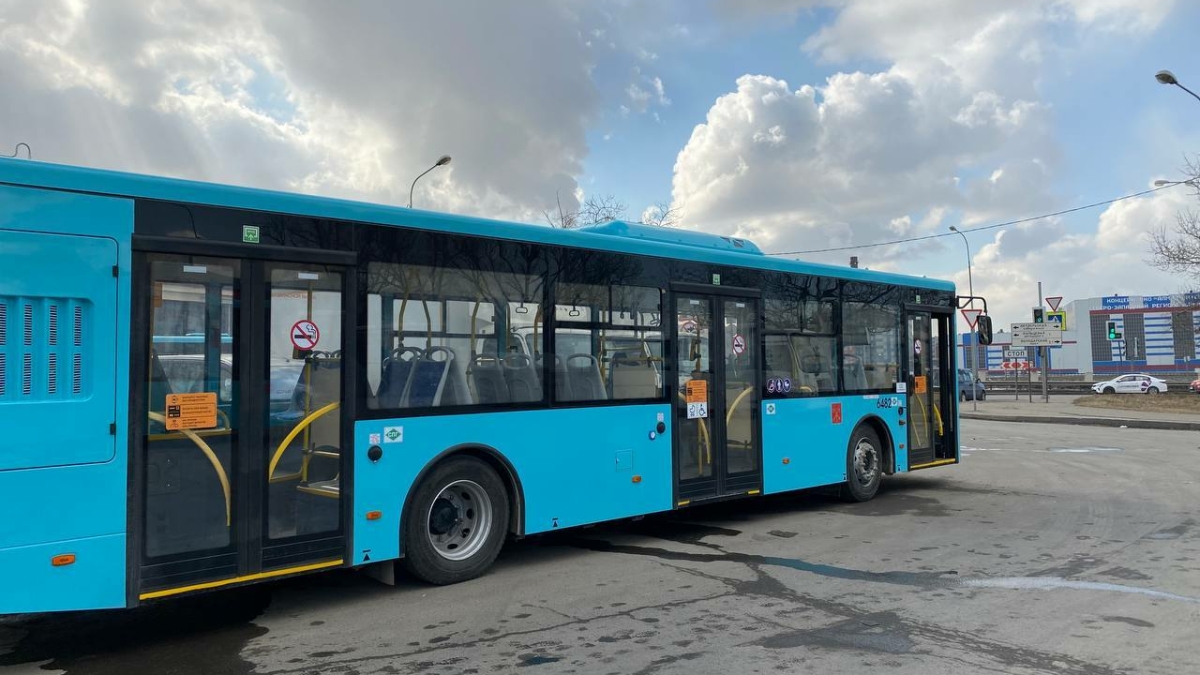 В 30 автобусах Кингисеппского района обнаружили нарушения