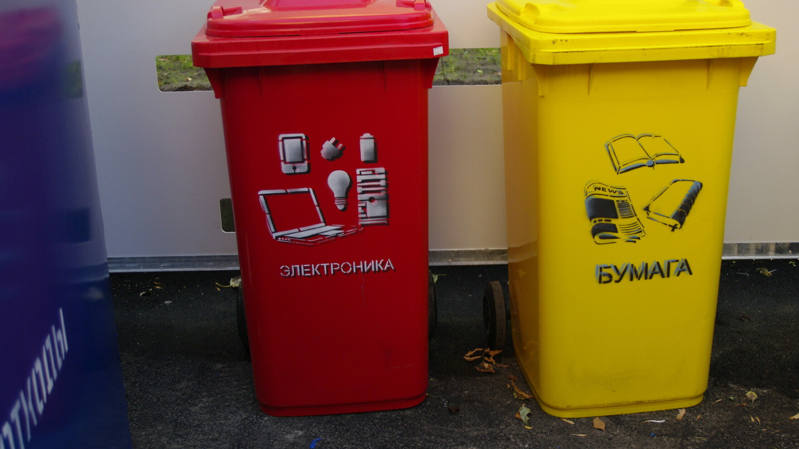 В Выборгском районе Ленобласти внедрят раздельный сбор мусорных отходов