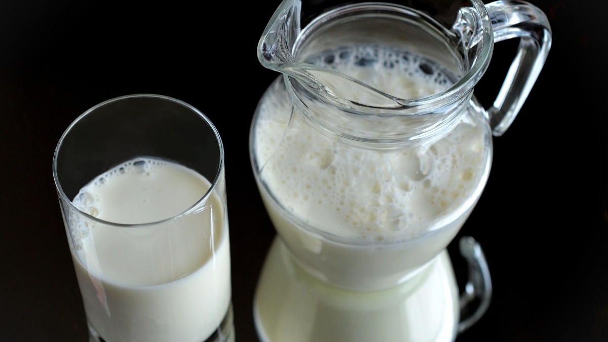 Эксперты спрогнозировали сокращение цен на молоко в России на 5%