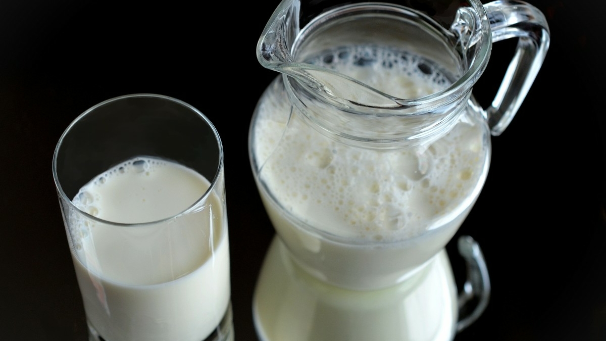 Поставщики сырого молока прогнозируют падение производства