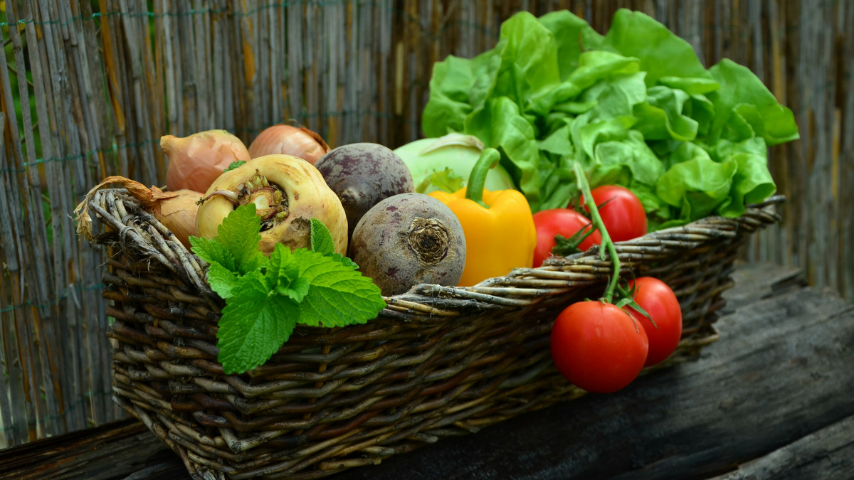 В Солнечногорске построят производство по переработке овощей и фруктов