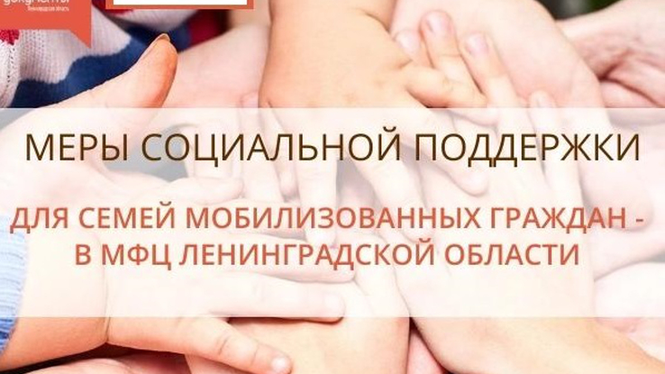В Ленобласти МФЦ начали принимать документы на проезд для семей мобилизованных
