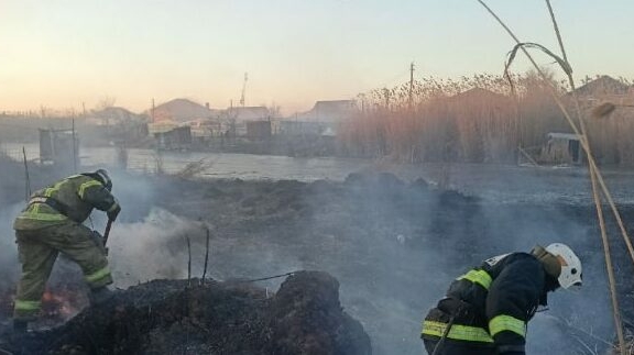 В Астраханской области возгорание камыша переросло в крупный пожар