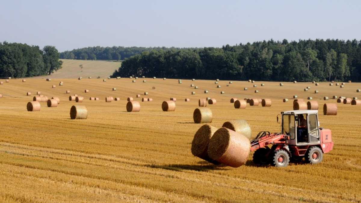 Объем господдержки фермеров увеличат до 14 млрд рублей