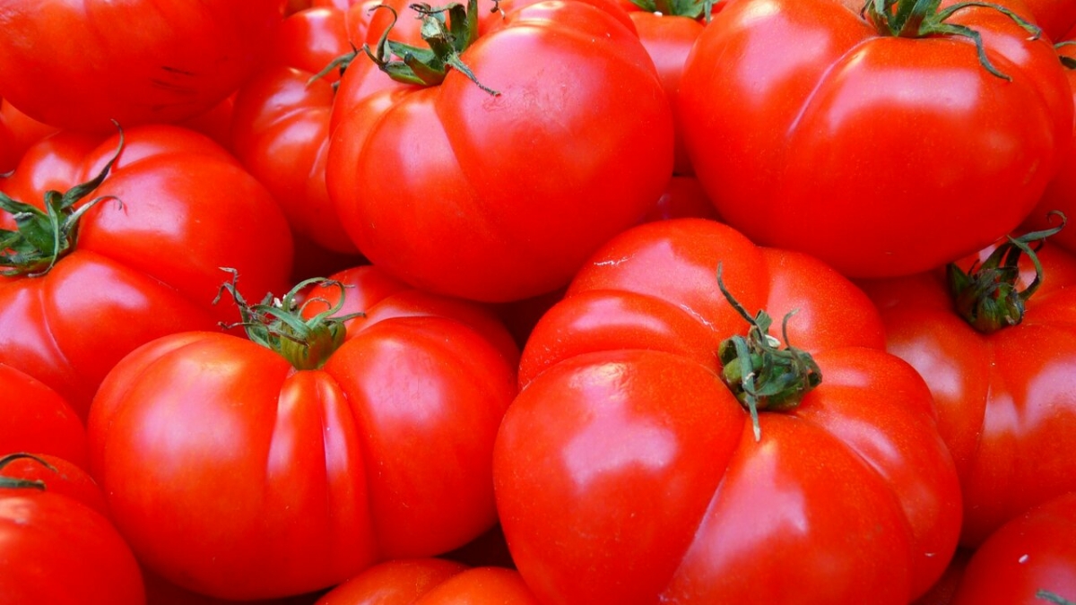 Пять стран сократили объем поставок томатов в Россию