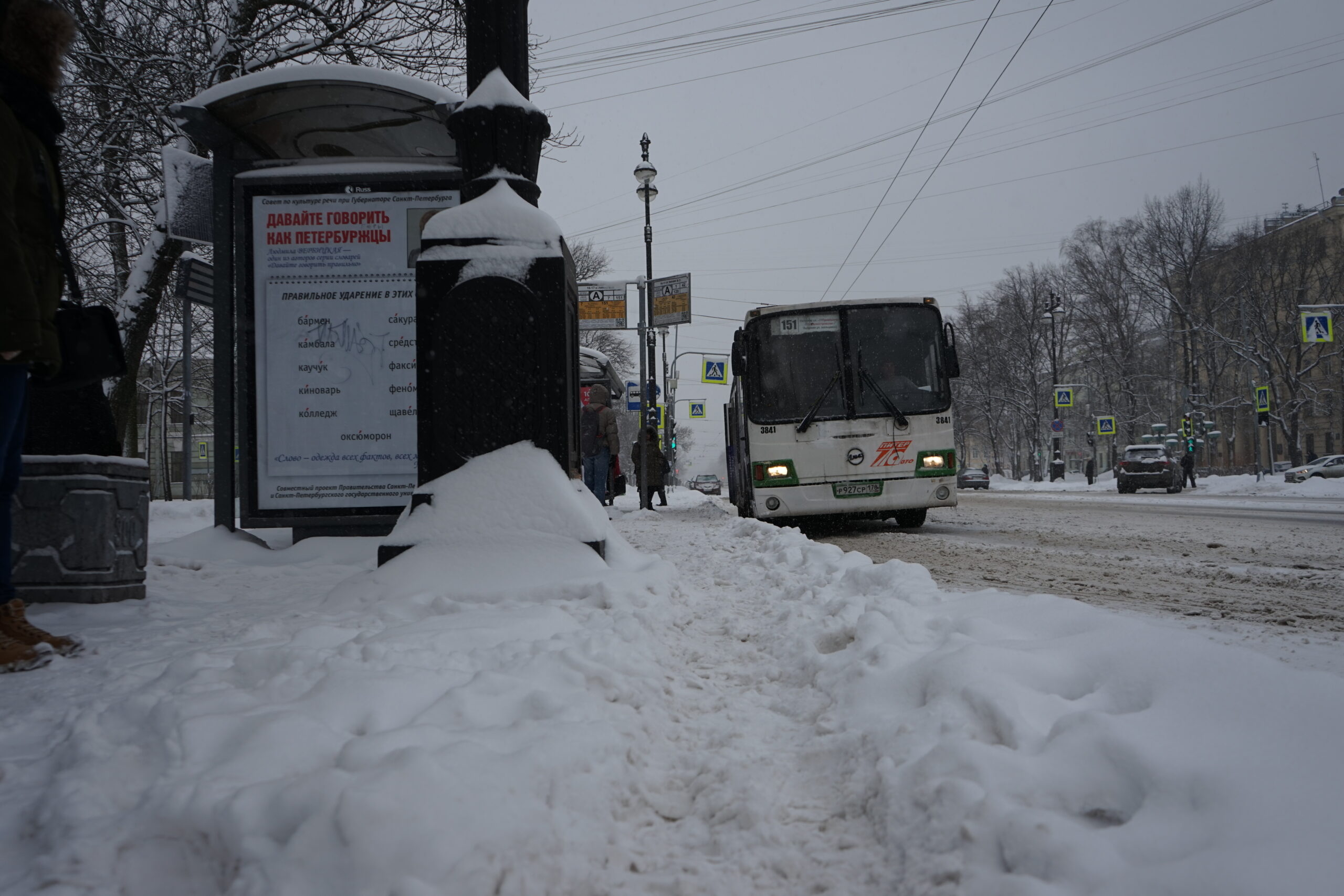 Выставка транспорта спб 2024. Калуга общественный транспорт. Фото остановка Питер. Заснеженность. Пассажирское.