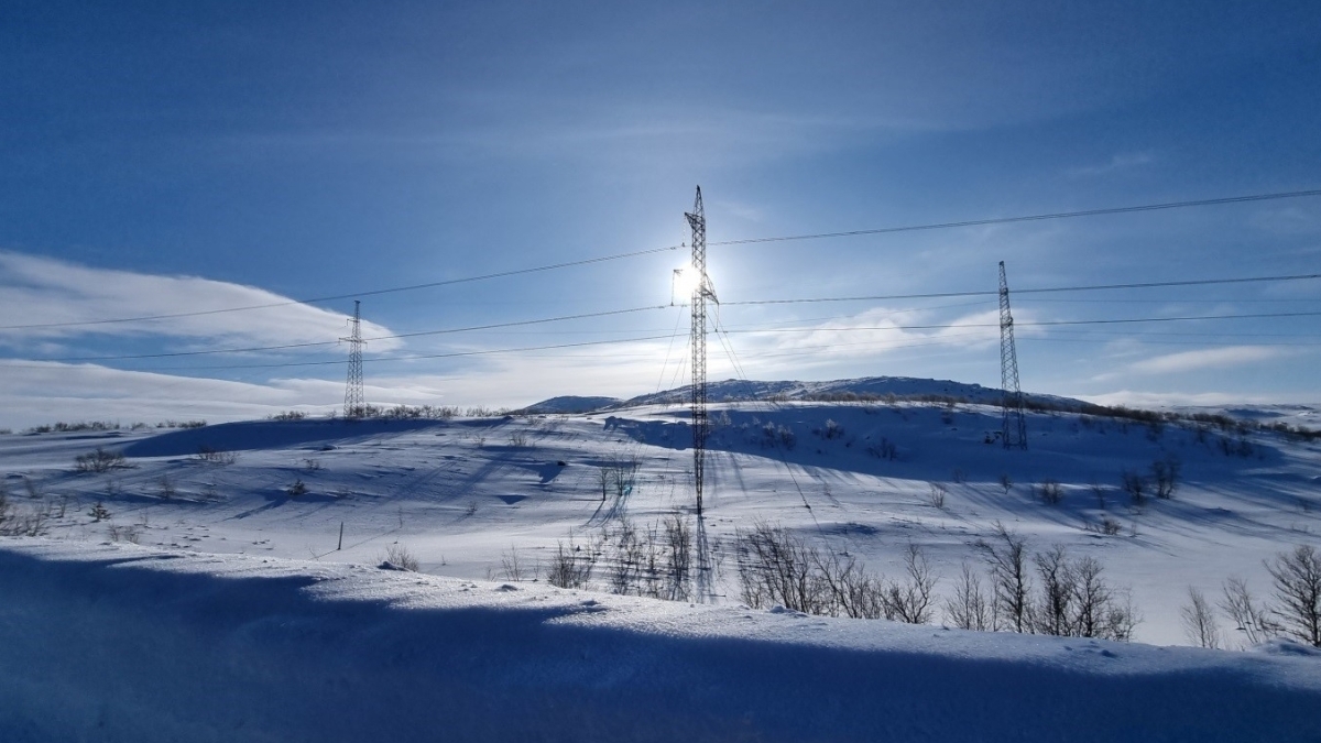 В Печенгском районе Мурманской области появятся новые линии электропередач