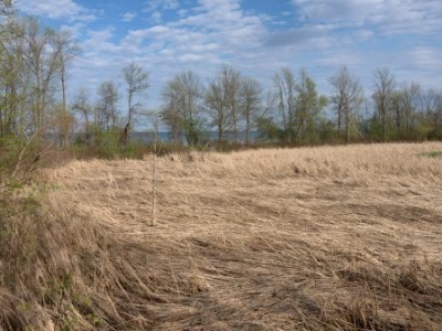 В Ленобласти резко увеличился спрос на земельные участки