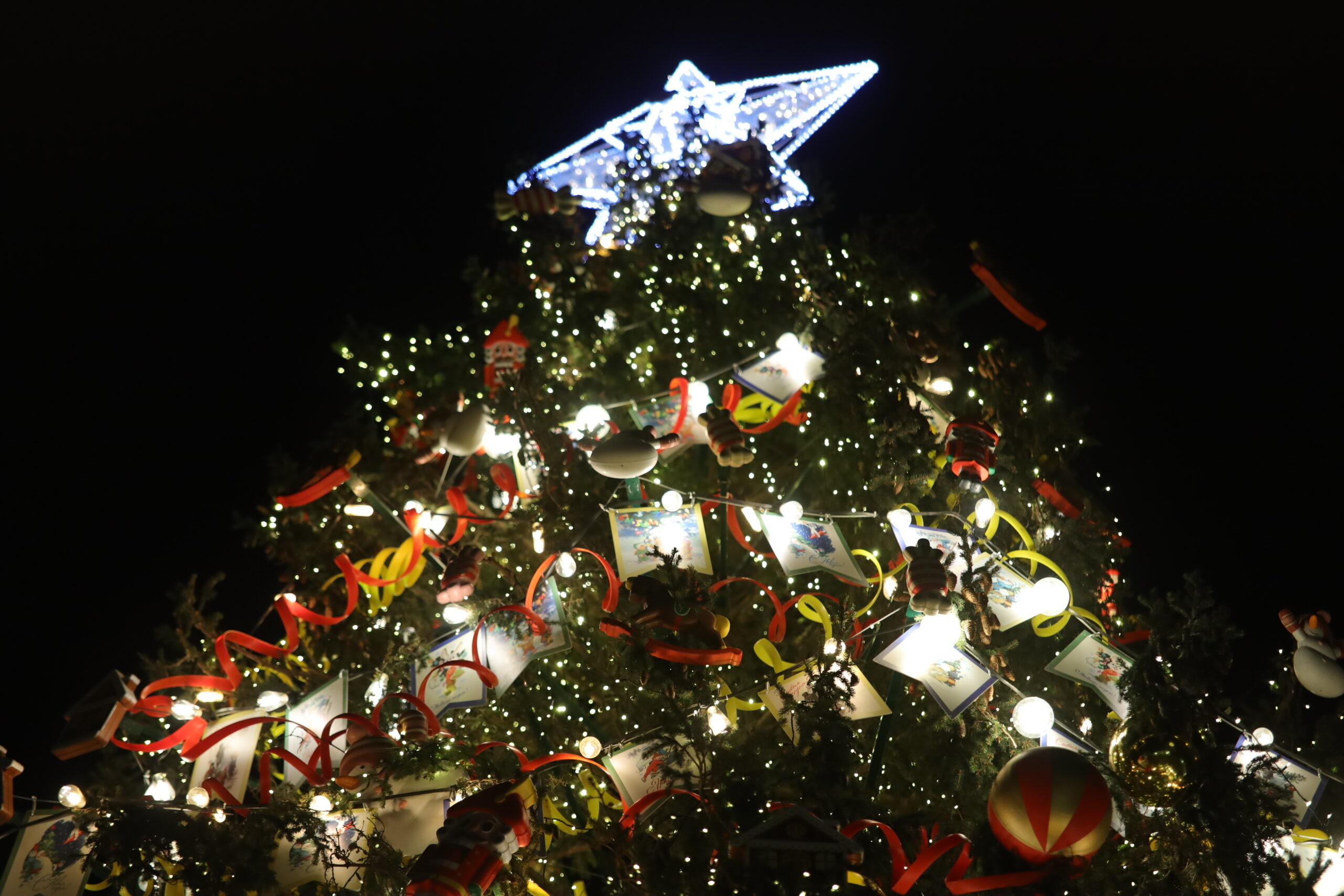 Новогодняя ночь. Зажглась новогодняя елка. Новогодняя елка на площади. Зажглась новогодняя елка. Зажглась новогодняя елка.