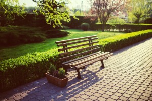 Фото