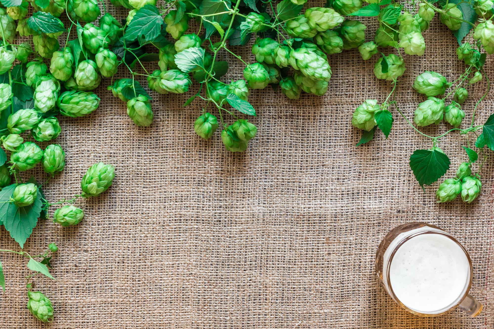 Yakima Chief Hops Overhauls Digital Platform for Commercial Brewers