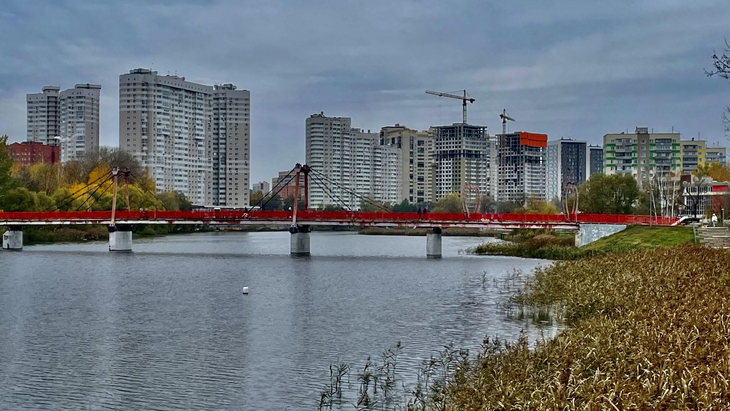 В Софрино ГО Пушкинский состоится концерт в честь Дня матери - АБН 24