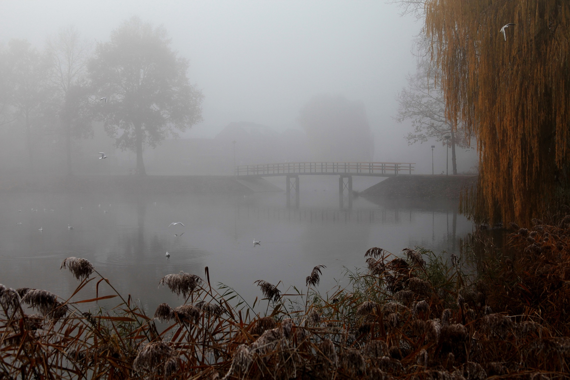 The therapist called it necessary to leave the house in the gloomy autumn