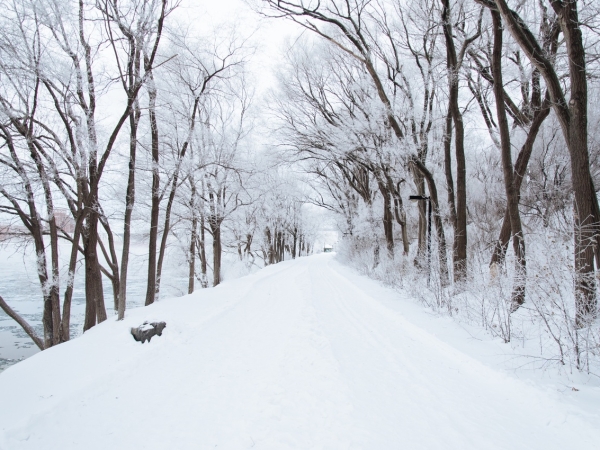 Арктический фронт принесет в Россию сильное похолодание - Фото