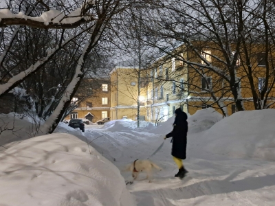 В Москве и Подмосковье ожидается метеорологическая зима