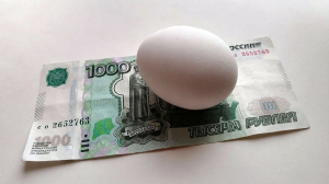 Цены падают вниз: как изменится стоимость яиц для россиян