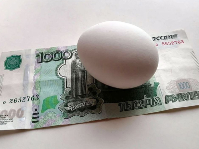 В Калининградской области снизили цены на яйца в преддверии Пасхи