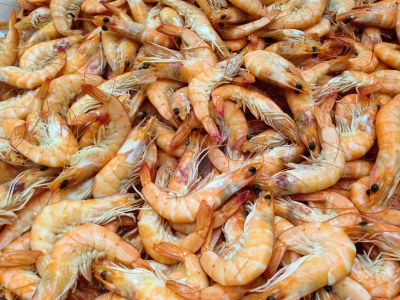 Свердловская область экспортировала в ОАЭ морепродукты