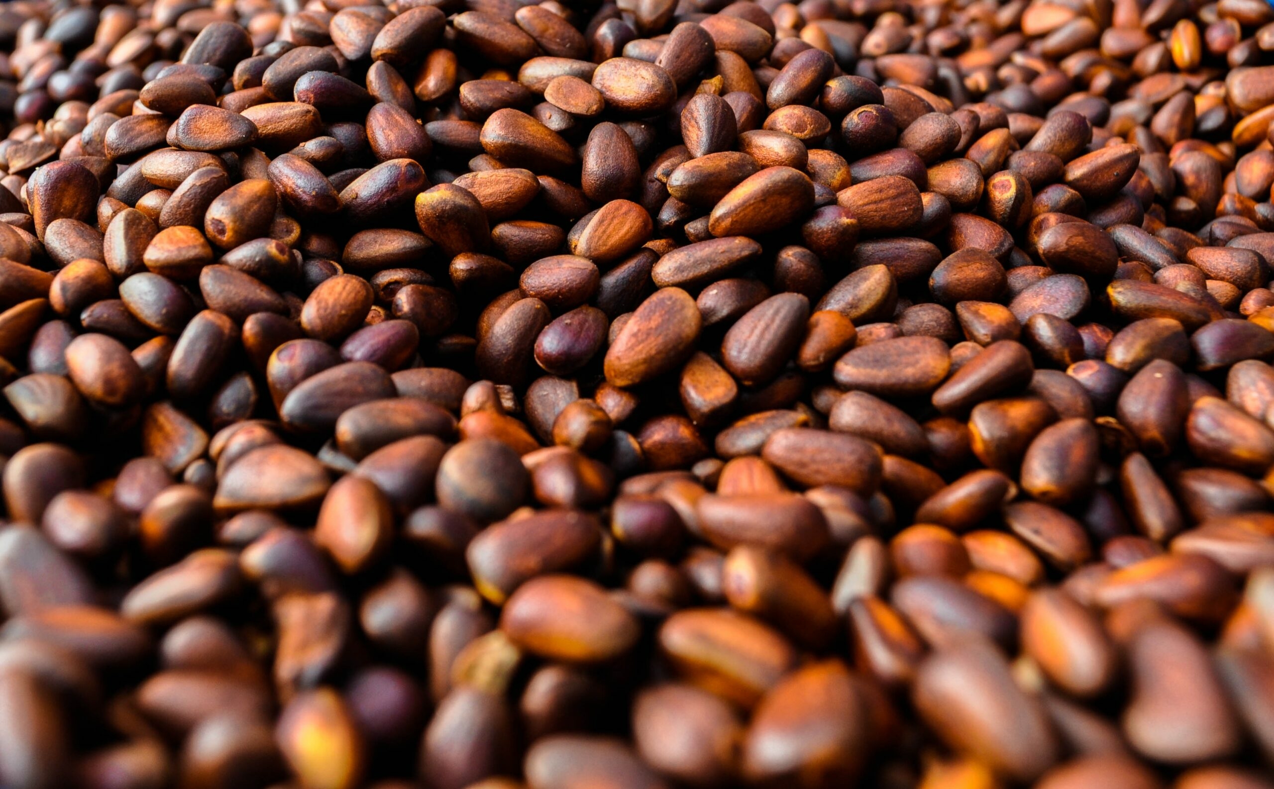 Кедровые орехи Ozon