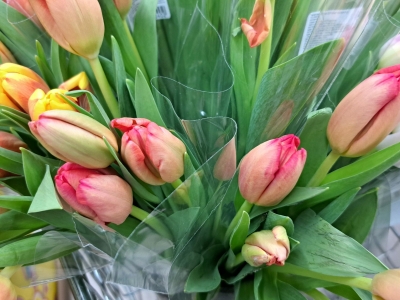 В Тюмени после 8 марта ожидают рост засоров из-за цветов