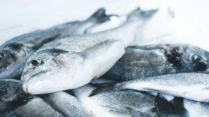Президент ВАРПЭ Герман Зверев: Инвестиционный бум у рыбопромышленников вогнал их в долги перед банками