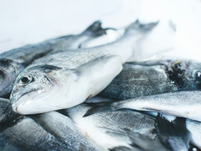 В Калининградской области приостановили импорт корма для рыб из Италии