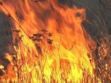 В Свердловской области за сутки ликвидировали 23 пожара
