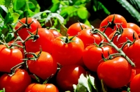 Корзина подешевела: эксперты назвали главный продукт-чемпион по снижению цен - Фото