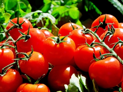 В Калининградской области запретили 34 тонны овощей и фруктов из Турции