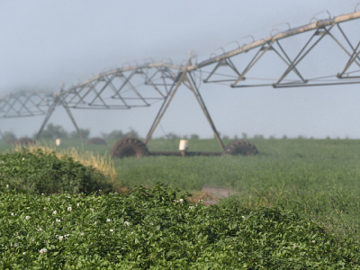 Sohu: удар по США — Россия устроила неприятности американским фермерам в Китае