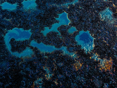 Петербургская котельная загрязнила нефтепродуктами ручей в Металлострое