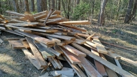 G7 предложили полностью запретить импорт древесины из России - Фото