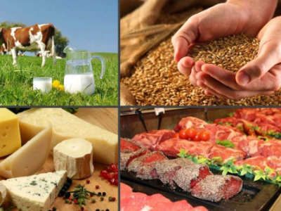 Производство пищевых продуктов в Ростовской области увеличилось на 10%