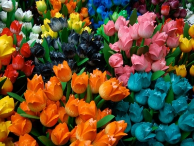 В Астрахани в Вербное воскресение резко выросли цены на искусственные цветы
