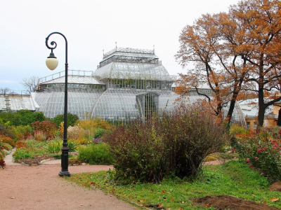 Ботанический сад на Аптекарском острове требует реконструкции за 1 млрд рублей