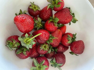 Астраханцы считают завышенными цены на сезонные ягоды 