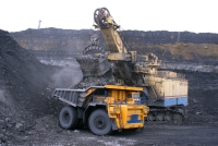 Tigers Realm Coal продает бизнес в России компании «АПМ-Инвест» - Фото