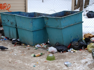 В Костроме займутся очисткой контейнерных площадок от мусора
