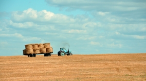 Эксперт Морковкин рассказал об интеграции цифровых технологий в аграрный сектор