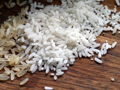 Производство риса в регионе вырастет в пять раз
