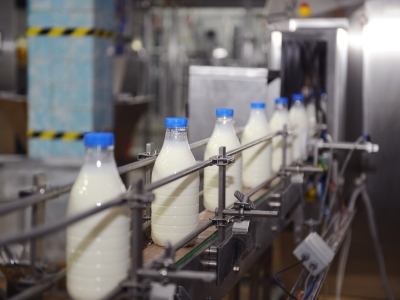 Костромская область окажет поддержку сельхозпроизводителям за увеличение производства молока