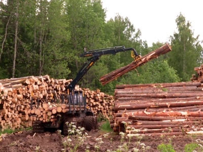Костромская область вошла в топ-3 лидеров ЦФО по лесным доходам