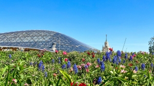 Парк «Зарядье» выделит 50 млн рублей на восстановление цветочной экспозиции