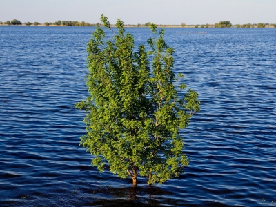 На Урале от воды освободились 72 приусадебных участка