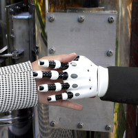 Названы первоочередные профессии на замещение роботами и ИИ