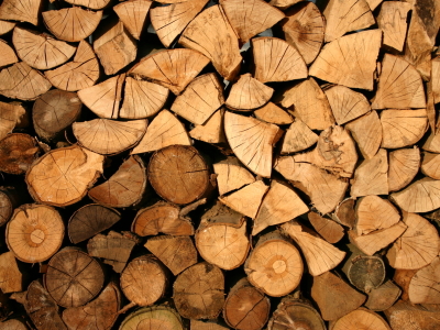В Бронницах запустят производство деревообрабатывающего оборудования