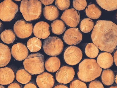 Калужская область поставила за рубеж более 13 тысяч кубометров древесины