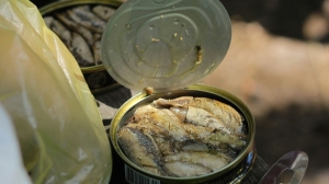 Рыбный кризис на пороге: почему в РФ падает производство консервов