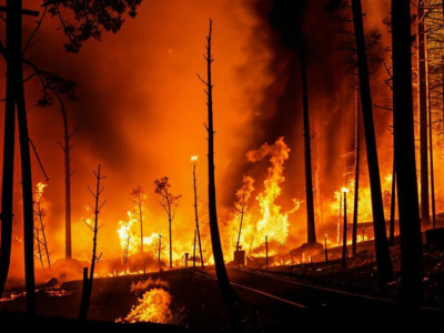 В лесах Ленинградской области вспыхнули почти 70 пожаров