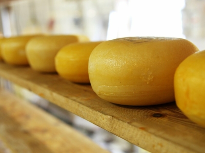 Подмосковье увеличило долю производства сыра в России до 20%